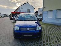 Gebraucht Fiat Panda Dynamic 60 PS (44 kW) 2009 Blau Kleinwagen