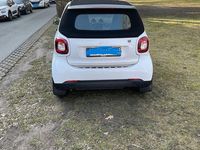 Gebraucht Smart ForTwo Cabrio Prime 71 PS (52 kW) 2018 Weiß Cabrio