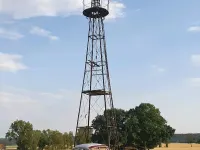 Gebraucht VW Käfer 44 PS (32 kW) 1956 Grau Kleinwagen