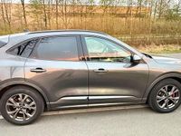 Gebraucht Ford Kuga ST-Line X 150 PS (110 kW) 2020 Grau SUV