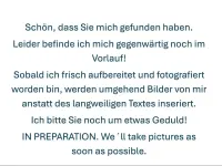Gebraucht VW ID.3 Pro 150 kW (204 PS) 2020 Blau Kleinwagen