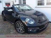 Gebraucht VW Beetle Allstar 150 PS (110 kW) 2017 Schwarz Kleinwagen