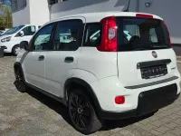 Używany Fiat Panda 69 KM (50 kW) 2024 Biały Hatchback