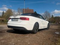 Gebraucht Audi A5 Cabriolet S-Line 177 PS (130 kW) 2014 Weiß Cabrio