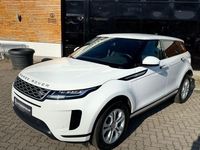 Gebraucht Land Rover Range Rover evoque 265 PS (194 kW) 2020 Weiß SUV