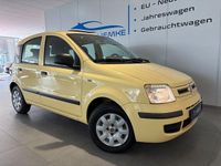 Gebraucht Fiat Panda Dynamic 60 PS (44 kW) 2010 Gelb Kleinwagen