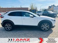 gebraucht Mazda CX-30 2.0 Edition 100 Navi LED BOSE DAB PDC Lede