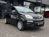 Neu Fiat Panda 69 PS (50 kW) 2025 Cinema schwarz Kleinwagen