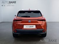 gebraucht Lexus UX 250h Style Edition *CarPlay*LED*PDC*SHZ*