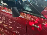 Gebraucht Ford Ecosport ST-Line 125 PS (91 kW) 2019 Rot SUV