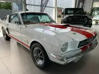 Gebraucht Ford Mustang Fastback 175 PS (128 kW) 1965 Weiß