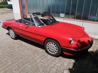 Gebraucht Alfa Romeo Spider 115 PS (84 kW) 1987 Rot Cabrio