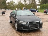 Gebraucht Audi A3 Cabriolet 160 PS (117 kW) 2009 Grün Cabrio