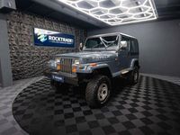 Gebraucht Jeep Wrangler 184 PS (135 kW) 1991 Grau SUV