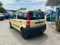 Gebraucht Fiat Panda Dynamic 60 PS (44 kW) 2009 Mambo gelb Kleinwagen
