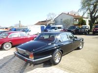 gebraucht Jaguar XJ6 