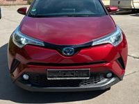 Gebraucht Toyota C-HR Multidrive S 98 PS (72 kW) 2019 Rot SUV