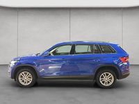 Gebraucht Skoda Kodiaq Active 150 PS (110 kW) 2021 Blau SUV