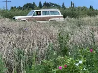 Gebraucht Jeep Wagoneer 144 PS (105 kW) 1988 Beige SUV