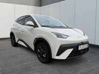 Gebraucht BYD Dolphin Surf Comfort 114 kW (156 PS) 2025 Apricity white Kleinwagen