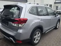 Gebraucht Subaru Forester Trend 150 PS (110 kW) 2023 Ice silver (m) SUV