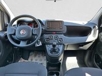 Gebraucht Fiat Panda Style 69 PS (50 kW) 2023 Weiß Kleinwagen