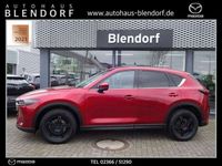 gebraucht Mazda CX-5 Sports-Line 184 Automatik Navi|360°Kamera|Bose