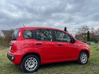 Gebraucht Fiat Panda Easy 69 PS (50 kW) 2018 Rot Kleinwagen
