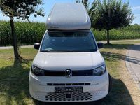 Gebraucht VW Caddy Maxi 114 PS (83 kW) 2024 Candyweiß Van / Kleinbus