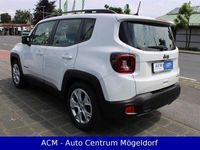 Gebraucht Jeep Renegade Limited 120 PS (88 kW) 2019 Weiß SUV