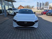 Neu Mazda 3 Homura-Line 140 PS (102 kW) 2025