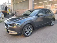 Gebraucht Mazda CX-30 Selection 179 PS (131 kW) 2019 Machine gray SUV