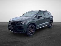 Neu Cupra Ateca 150 PS (110 kW) 2026 Grün (wurzelgrün) SUV