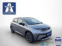 Gebraucht BYD Dolphin Comfort 150 kW (204 PS) 2024 Grau Kleinwagen