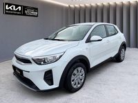 Neu Kia Stonic Edition 7 101 PS (74 kW) 2025 Weiß SUV
