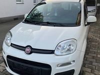 Gebraucht Fiat Panda 69 PS (50 kW) 2012 Weiß Kleinwagen