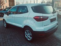 Gebraucht Ford Ecosport Trend 125 PS (91 kW) 2018 Frostweiß SUV