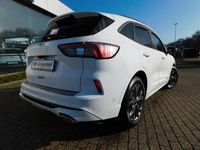 Gebraucht Ford Kuga ST-Line 151 PS (111 kW) 2020 Weiß SUV