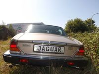 Gebraucht Jaguar XJ12 295 PS (216 kW) 1987 Gold Limousine