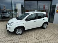 Gebraucht Fiat Panda 69 PS (50 kW) 2024 Weiß Limousine