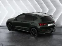 Neu Cupra Ateca VZ 300 PS (220 kW) 2026 Grün SUV