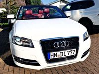 gebraucht Audi A3 Cabriolet A3 2.0 TDI Ambition Cabriolet 2.0 TDI Ambition , 140PS, Sommerauto