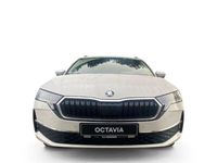 Gebraucht Skoda Octavia Selection 116 PS (85 kW) 2024 Weiß Kombi