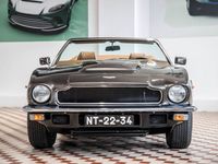 Gebraucht Aston Martin V8 310 PS (228 kW) 1982 Grau Coupé