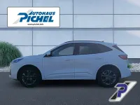 Occasion Ford Kuga ST-Line 224 ch (164 kW) 2022 Blanc SUV