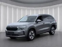 Gebraucht Skoda Kodiaq Selection 204 PS (150 kW) 2025 Grau SUV