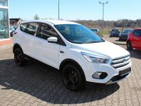 Gebraucht Ford Kuga Trend 120 PS (88 kW) 2019 Weiß SUV