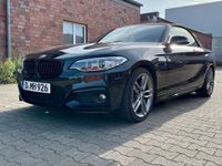 gebraucht BMW 228 i Cabrio M Sportpaket inkl. Winterräder