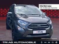 Gebraucht Ford Ecosport 125 PS (91 kW) 2019 Grau SUV