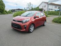 Gebraucht Kia Picanto 67 PS (49 kW) 2019 Bronze Kleinwagen
